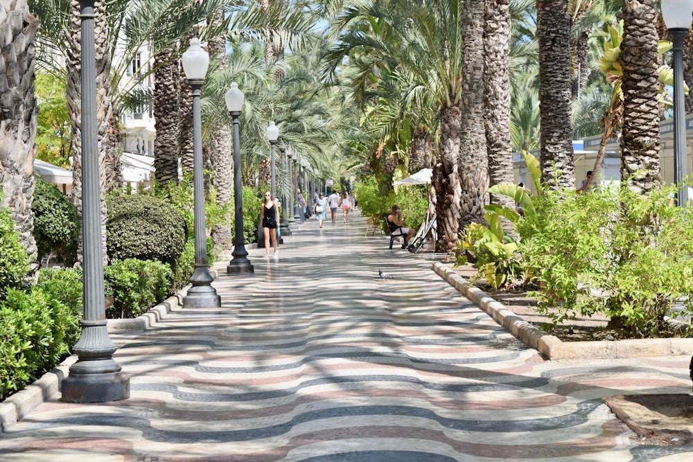 people walking on pathway between green trees during daytime