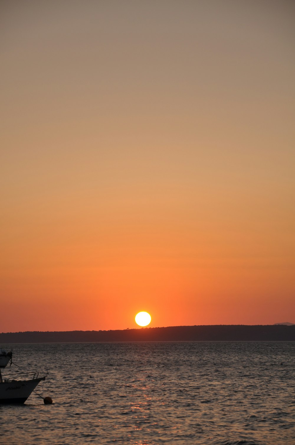 silhouette of people on beach during sunset