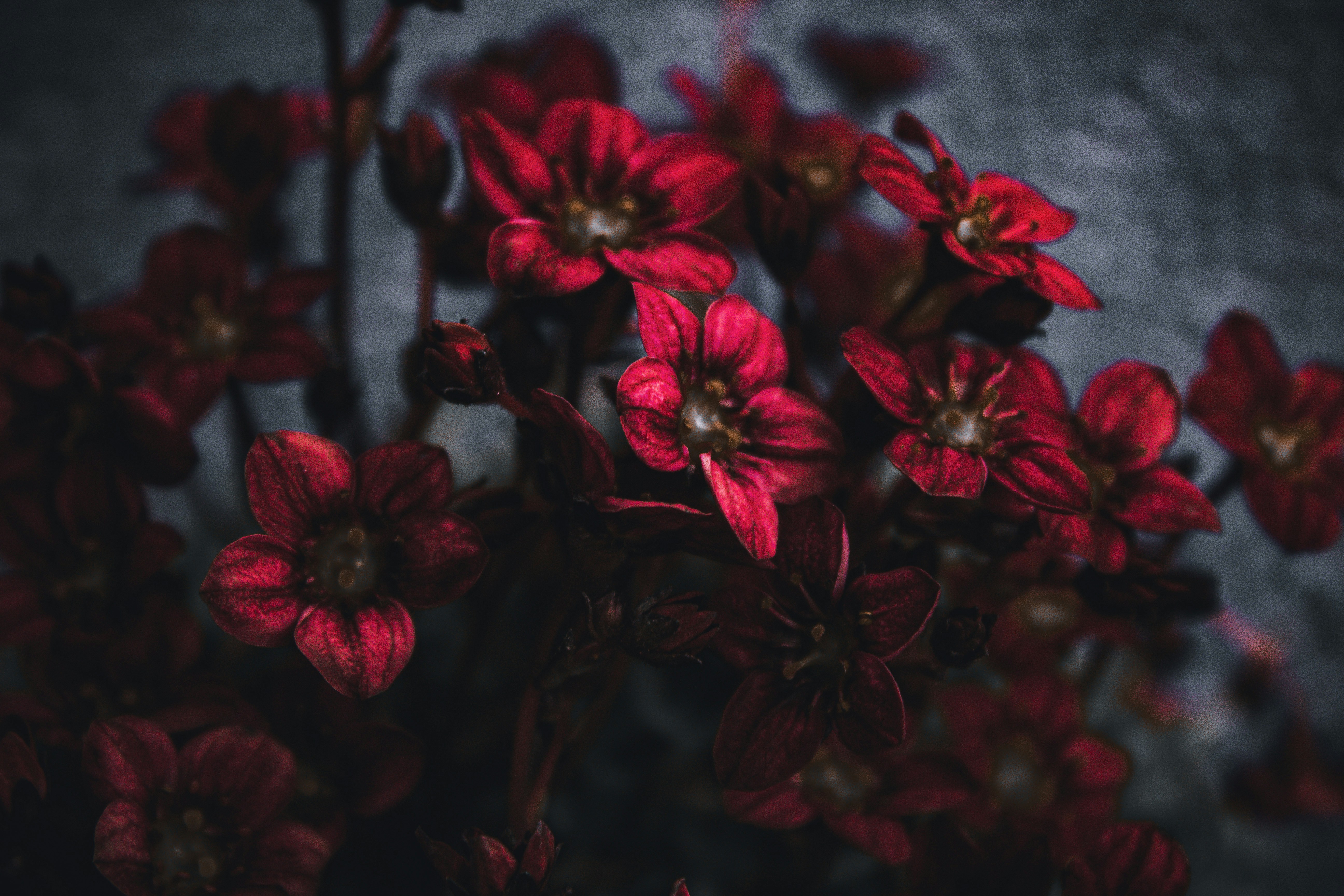 Photo by augustijnfotografie