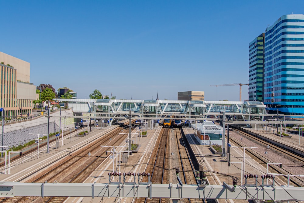 Autos tagsüber auf der Straße