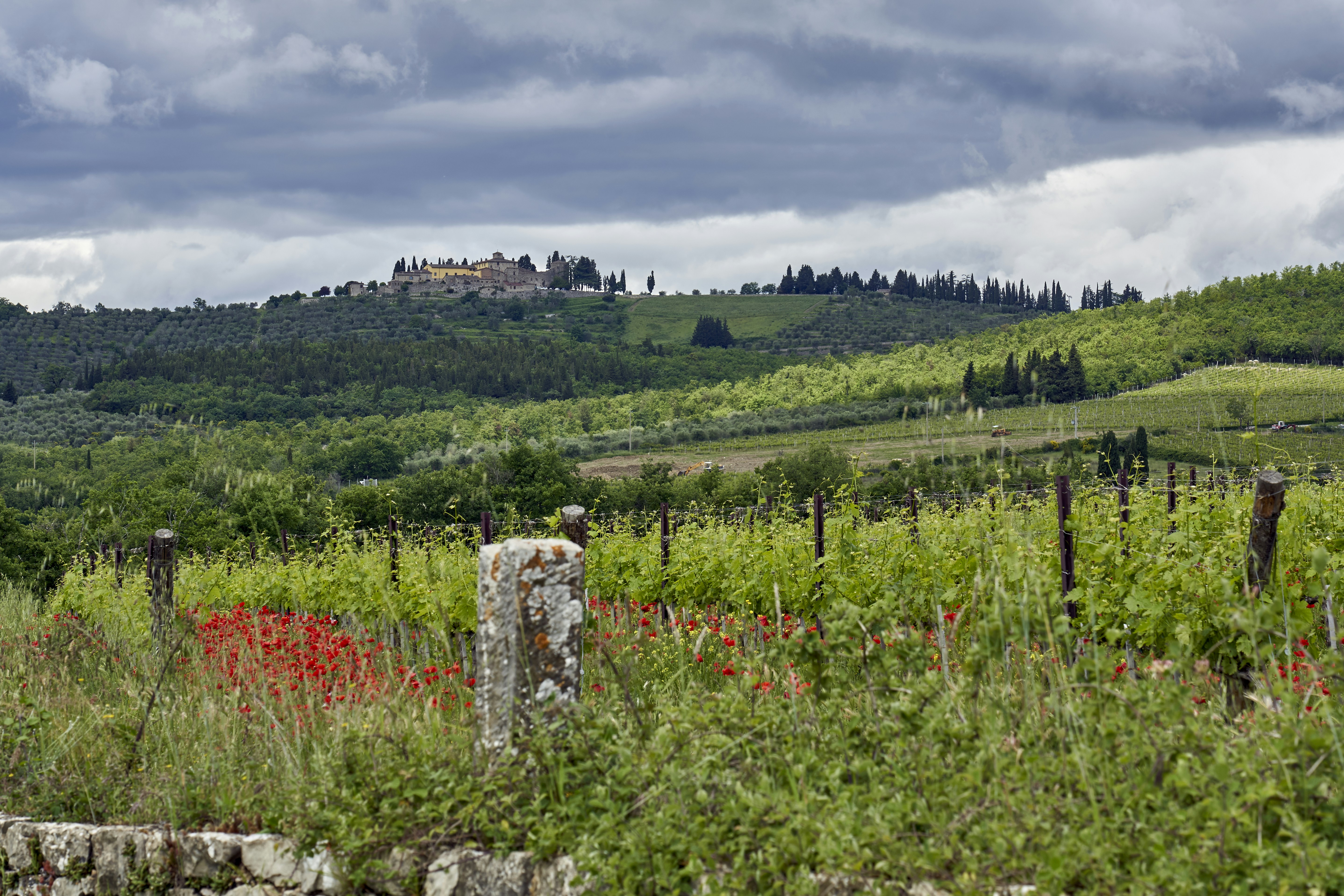 Photo by wolfgang_hasselmann