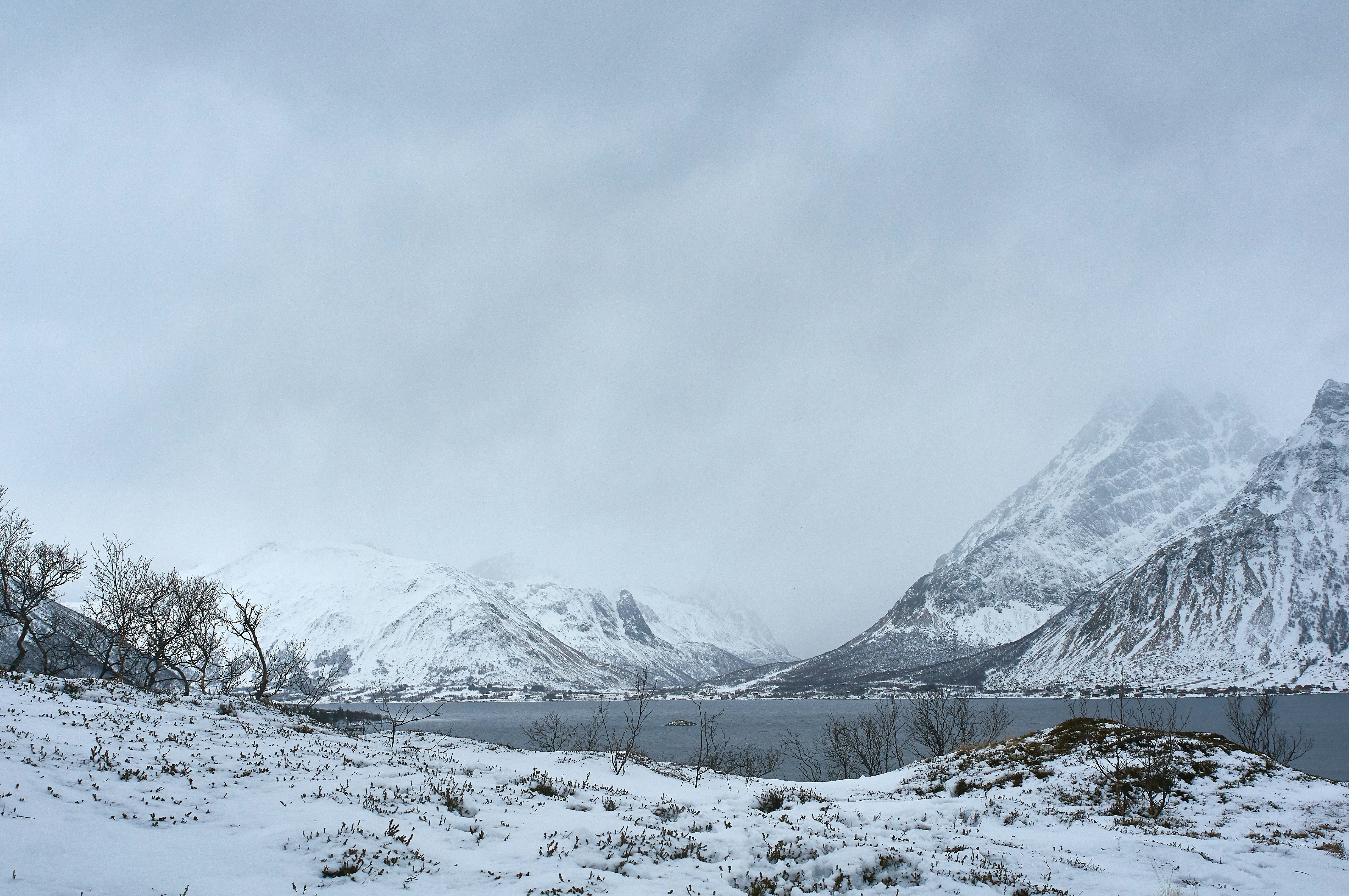 Photo by wolfgang_hasselmann