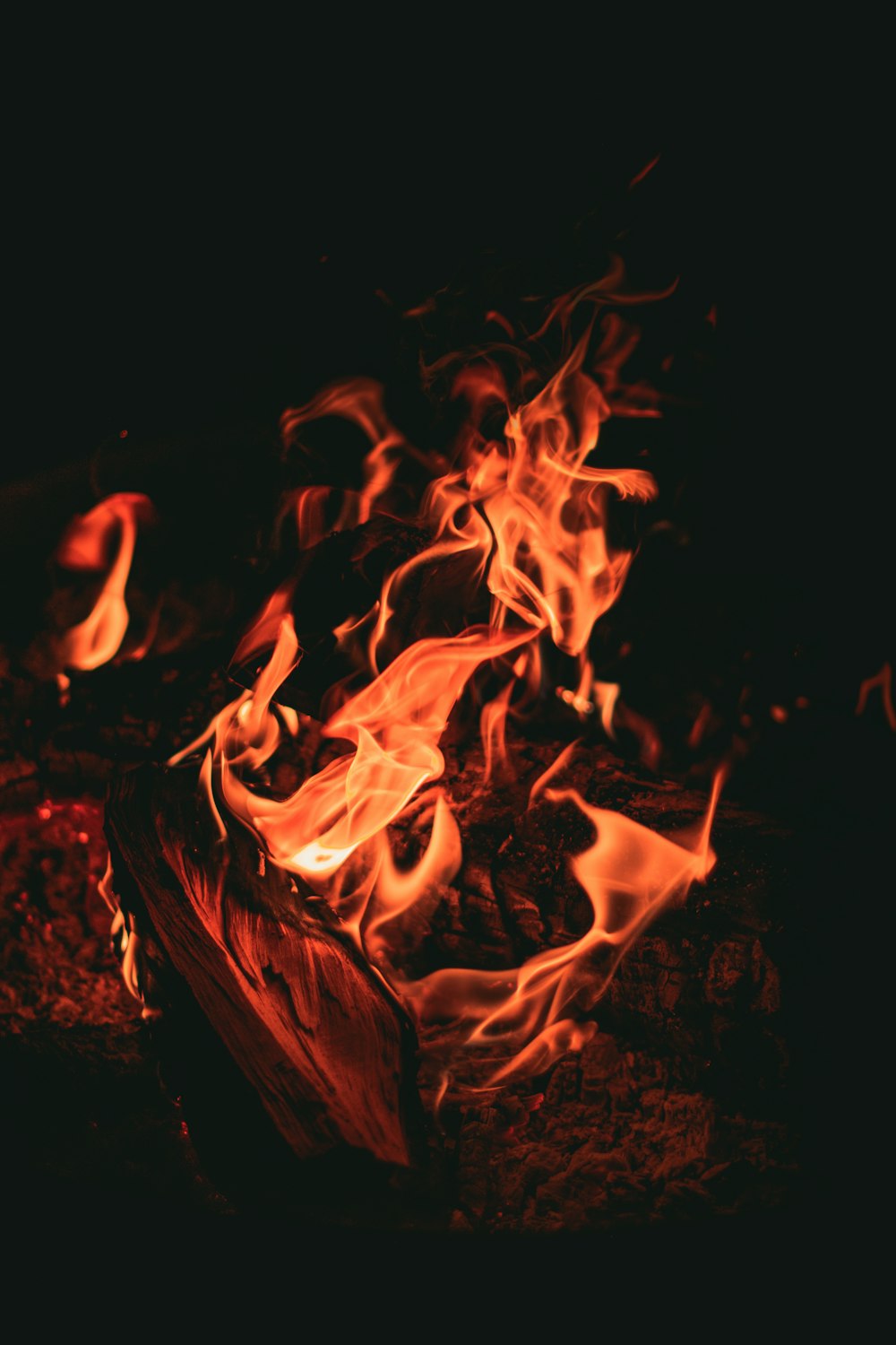 fire in the dark during night time