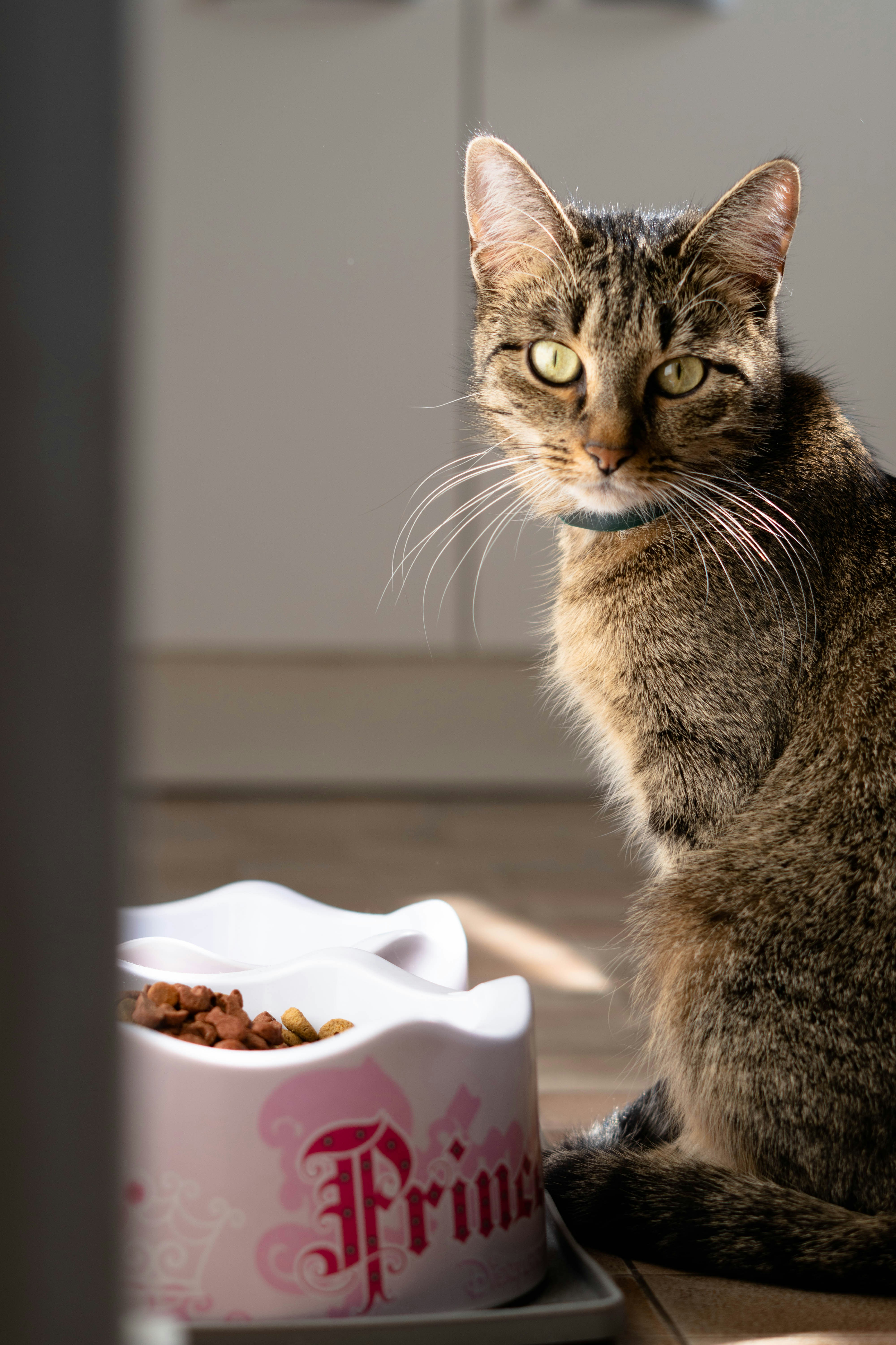 photo 1588924844153 c77f03e8ab8d?ixlib=rb 4.1