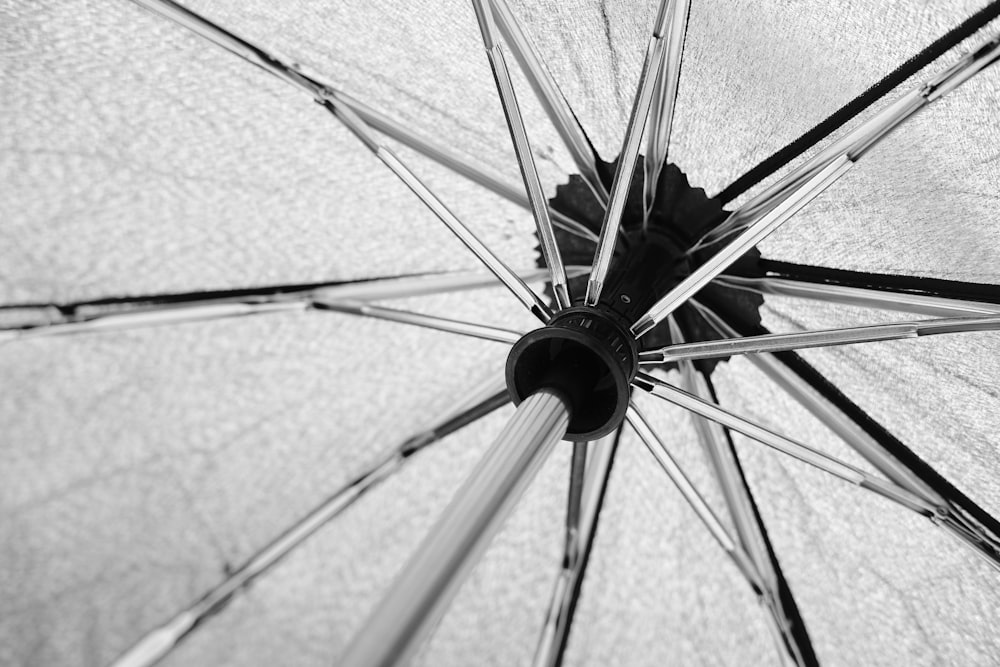 Weißer Regenschirm in Nahaufnahmen