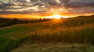 A beautiful sunset over a green landscape.