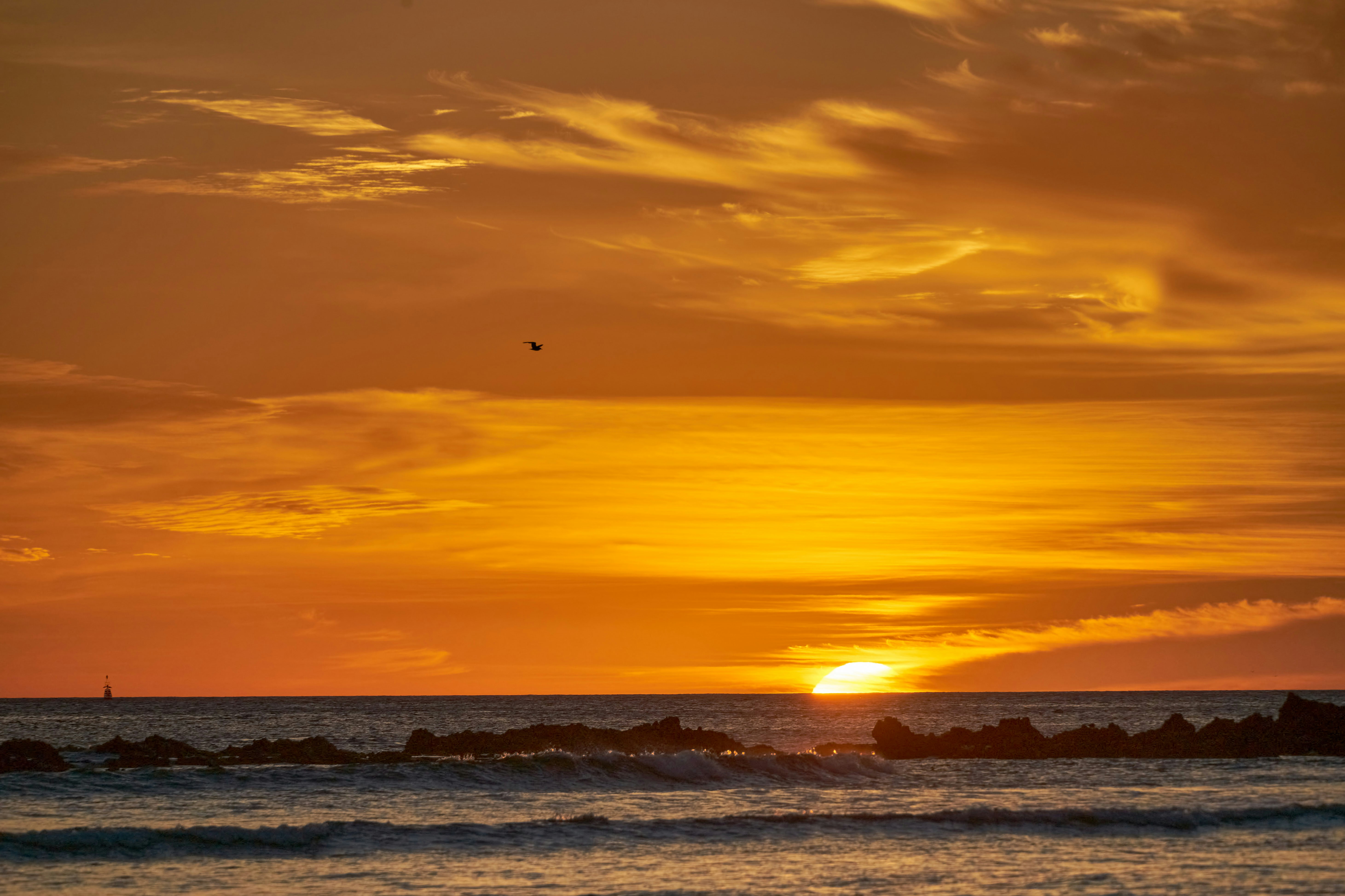 Photo by wolfgang_hasselmann