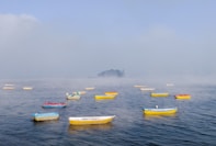 yellow and blue kayaks on sea during daytime
