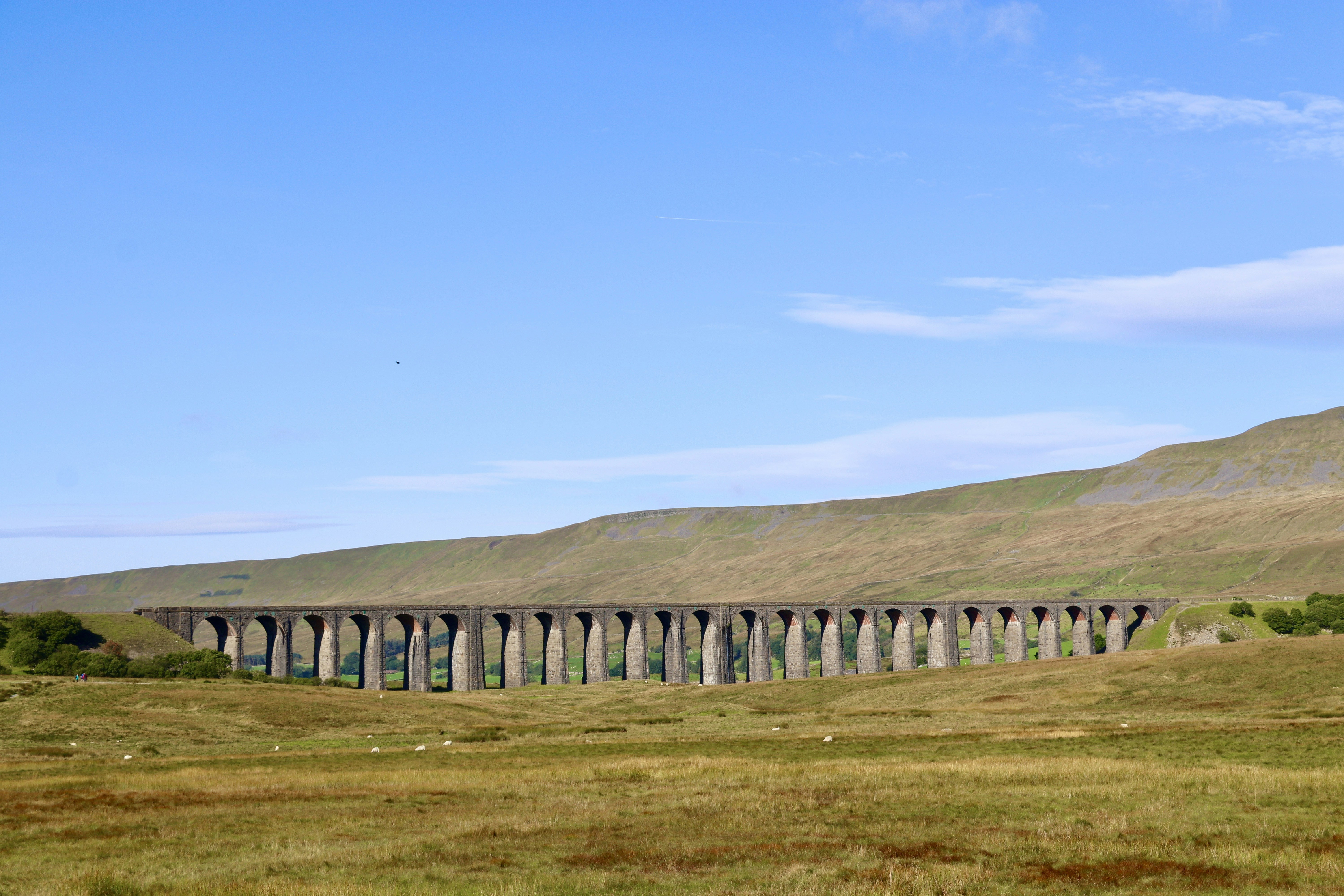 gray concrete bridge under blue sky during daytime