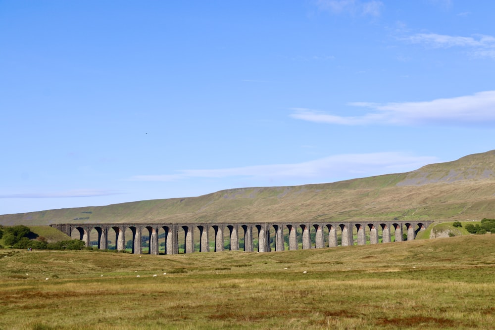 gray concrete bridge under blue sky during daytime