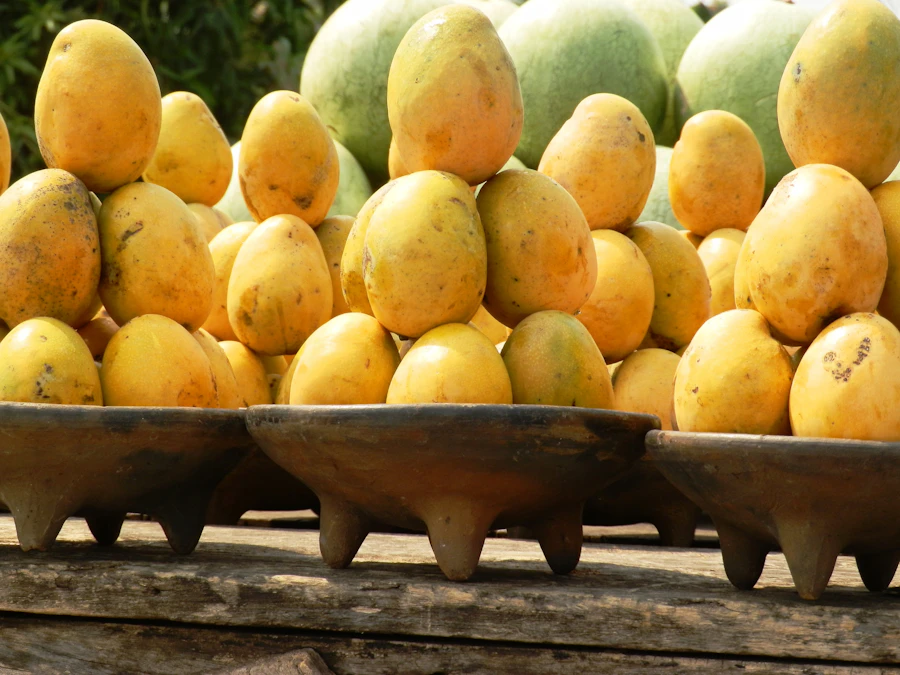 Yellow Fruit Tray – 1.5 kg