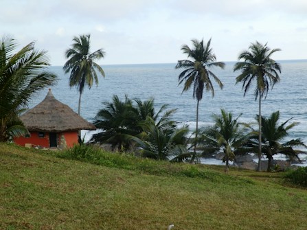 A coastal landscape featuring several tall palm trees, a traditional hut with a thatched roof, and a vibrant green grassy area. The ocean is visible in the background with gentle waves and a slightly cloudy sky above.