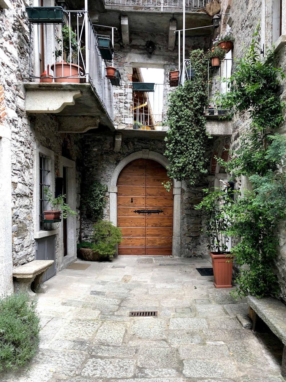 brown wooden door near green plants during daytime