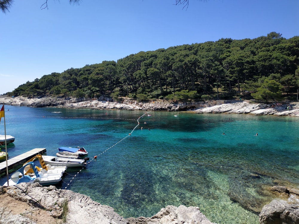 Barco blanco y azul en el cuerpo de agua durante el día