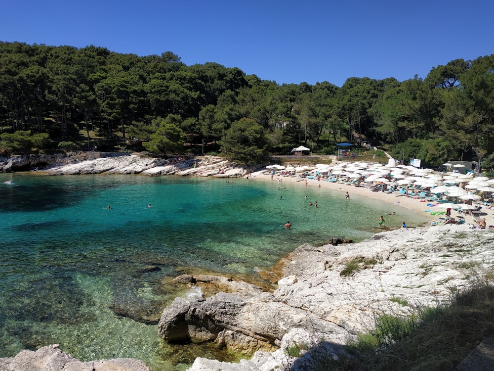 personnes sur la plage pendant la journée