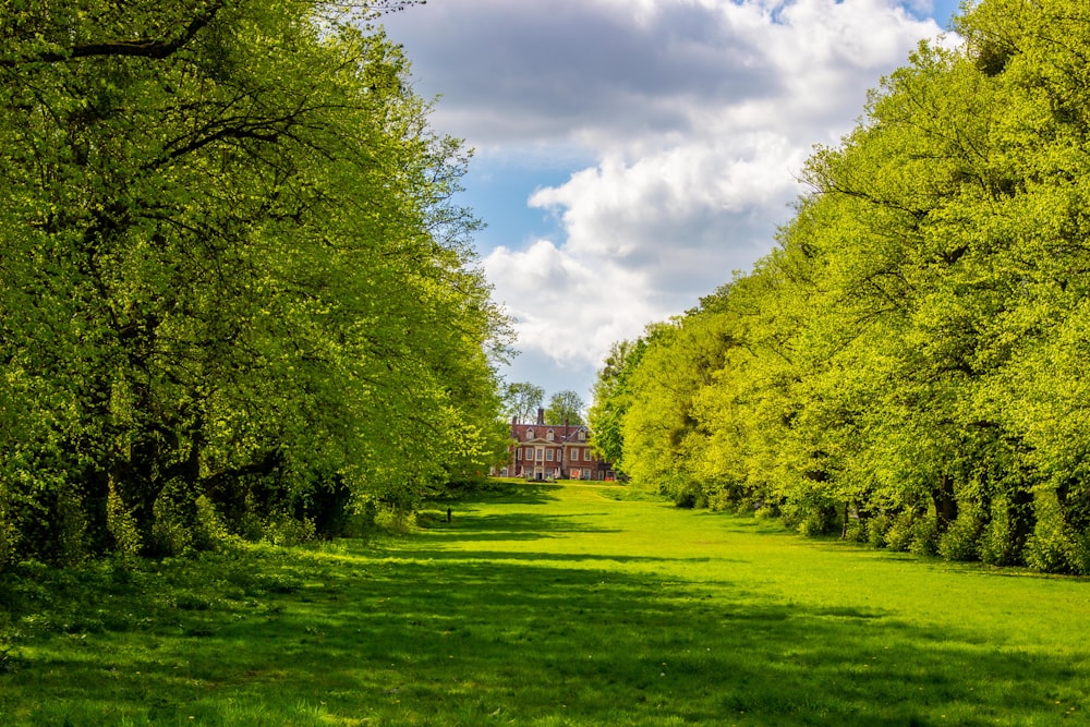 green grass field with trees under blue sky and white clouds during daytime