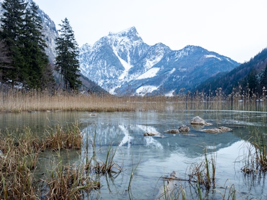 lake near snow covered mountain during daytime in Eisenerz Austria