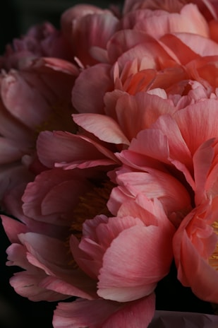 Close-up of handcrafted artificial peonies in blush tones, showcasing the fine details and realistic textures.