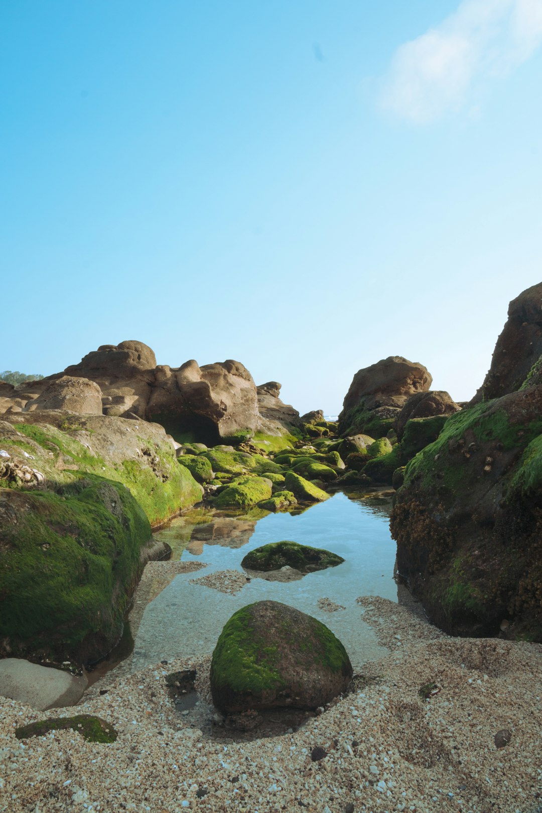 Shore photo spot Wediombo Beach Special Region of Yogyakarta