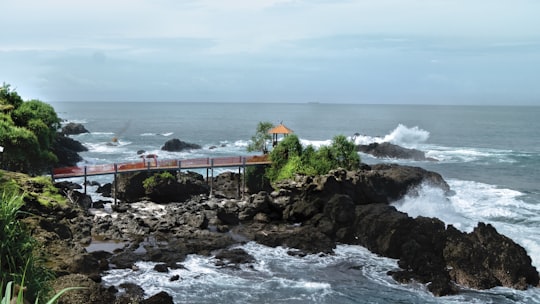 green trees on brown rocky shore near body of water during daytime in Kebumen Indonesia