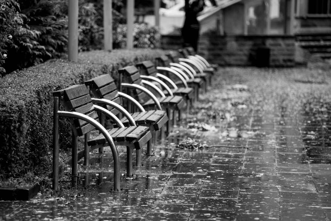 grayscale photography of bench on wet ground