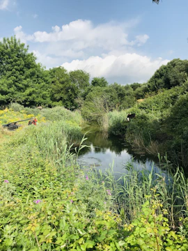 Wide shot of a small pond surrounded by native grasses and flowering shrubs.