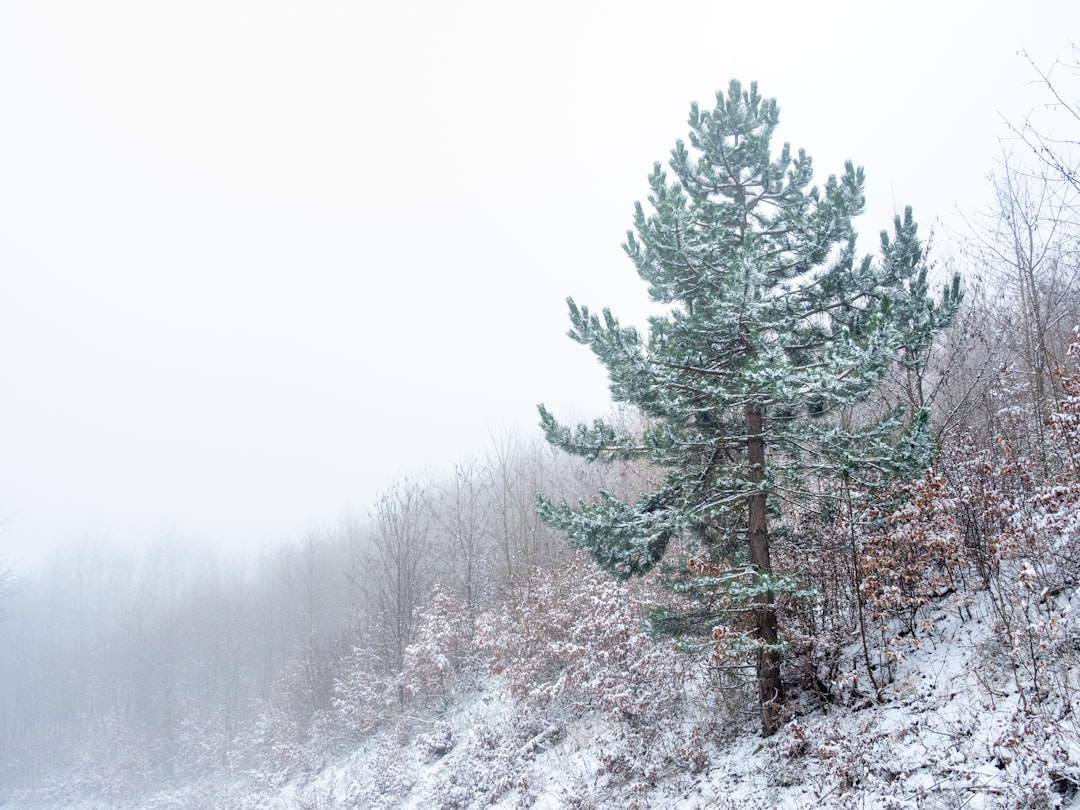 Natural landscape photo spot Wassergspreng Schneeberg