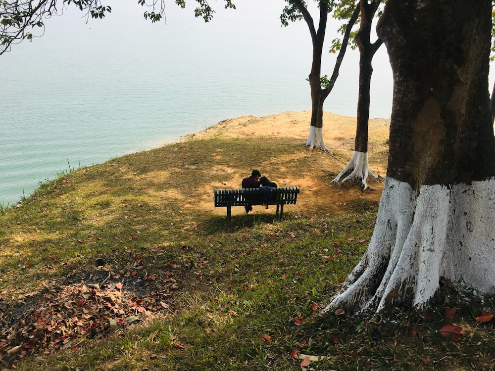 brown wooden bench on green grass field near body of water during daytime