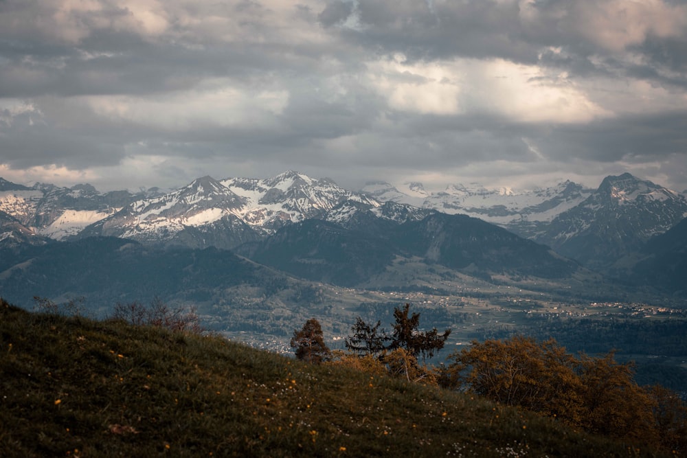 green trees on mountain under white clouds during daytime