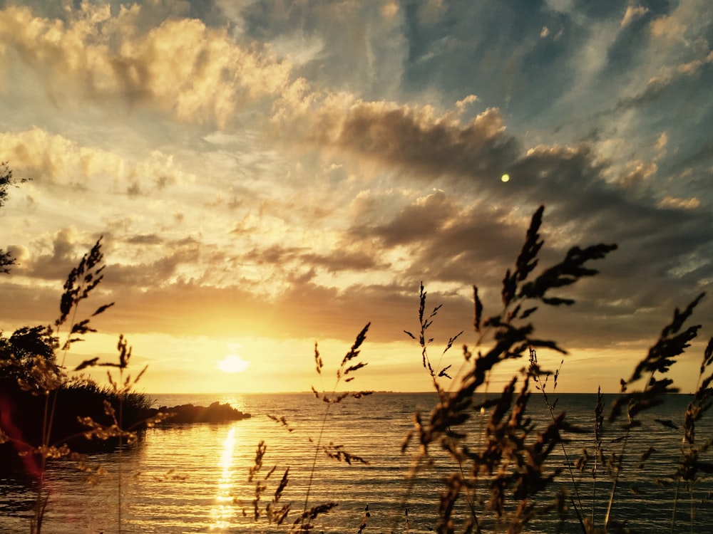 body of water under cloudy sky during sunset