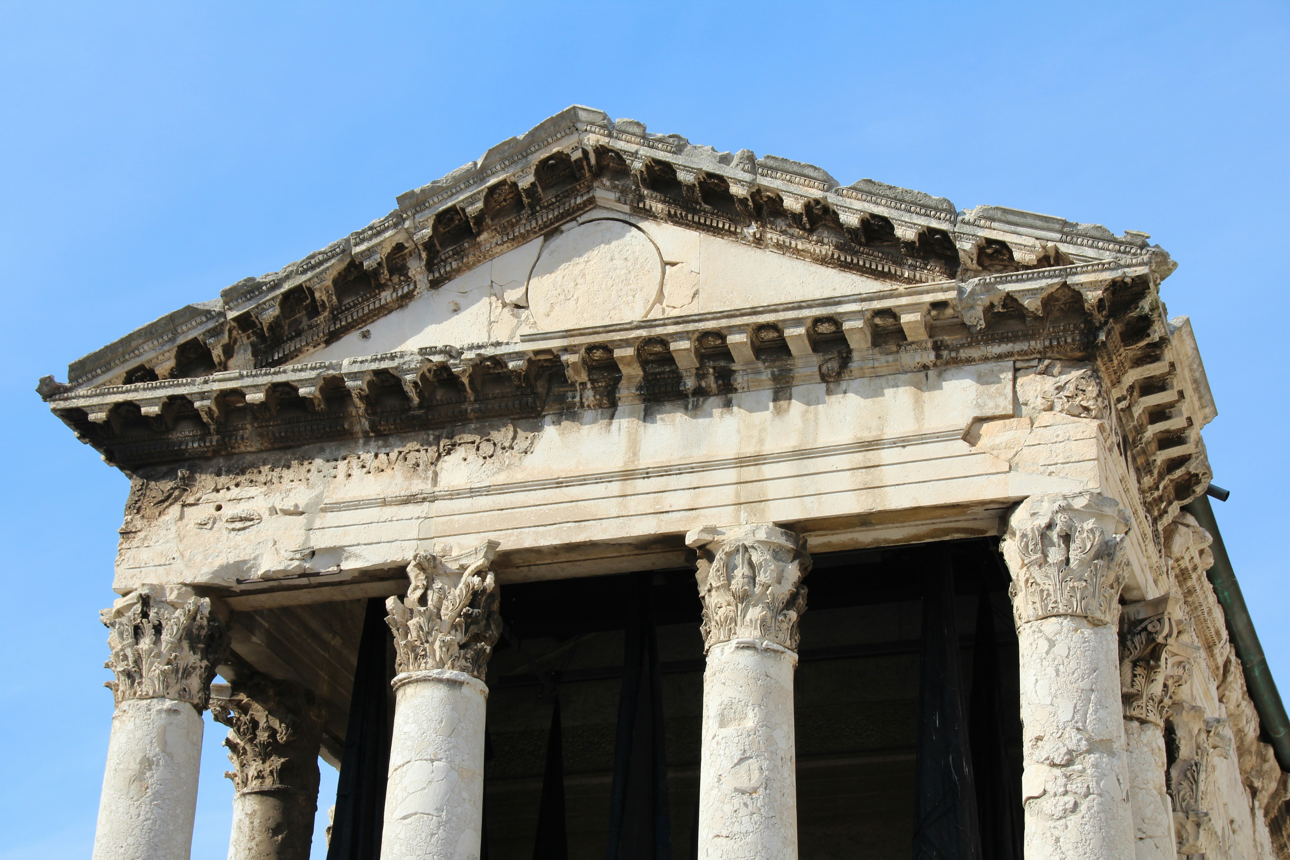 Photo by coronadairies19