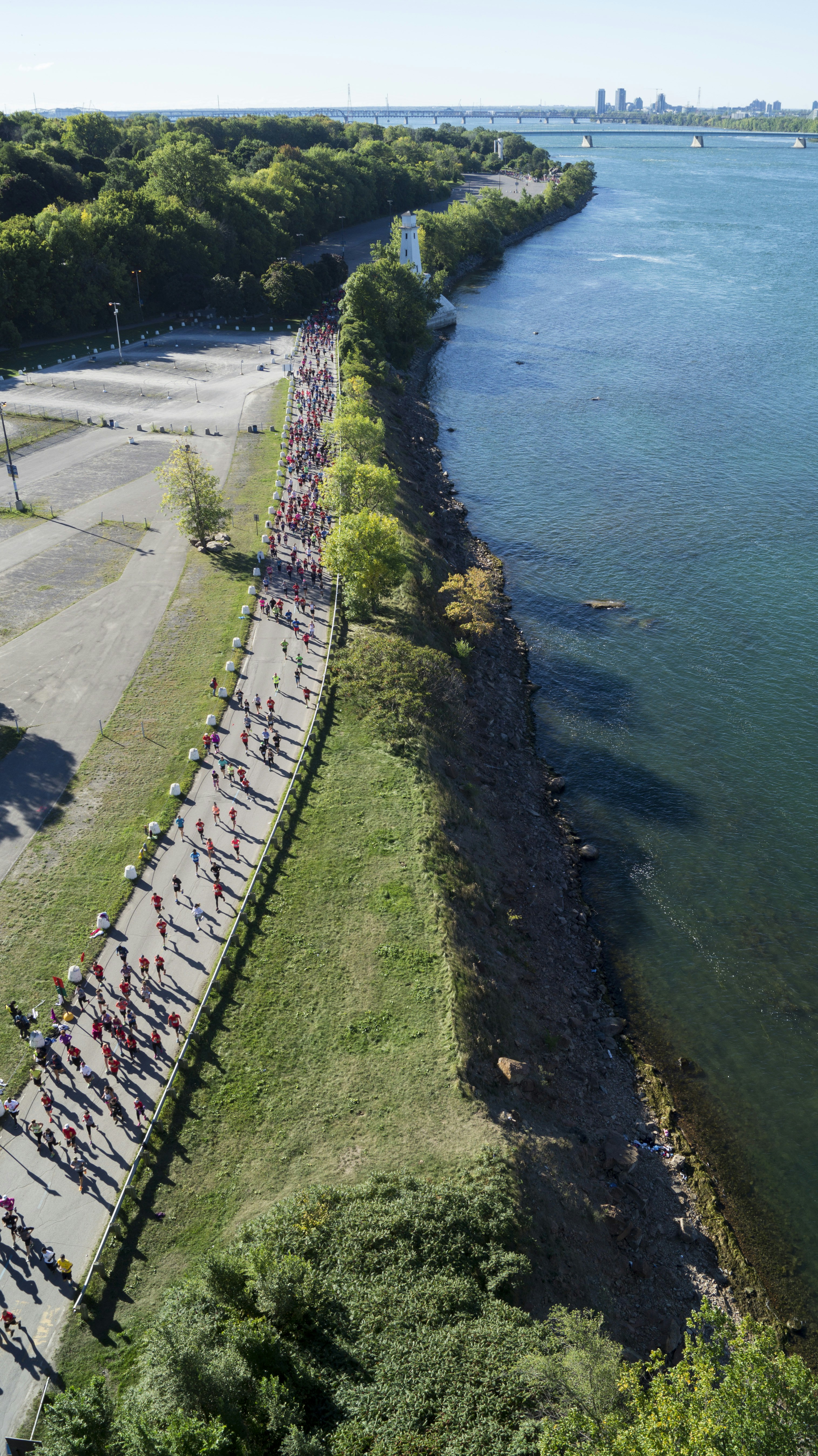 Group of runners along Hong Kong waterfront