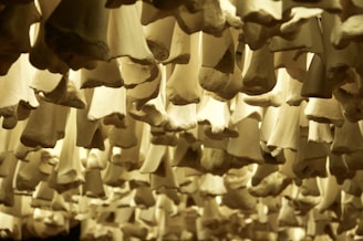 Numerous bones hang closely together, arranged in a repetitive pattern and illuminated by warm lighting. The bones form an intricate, natural texture with shadows and highlights creating a dramatic effect.