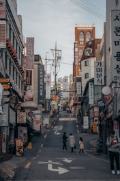 people walking on street during daytime