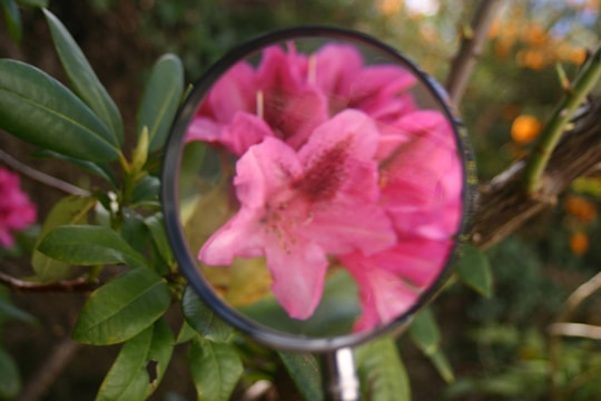 A magnifying glass highlighting a standout candidate among a crowd of resumes.