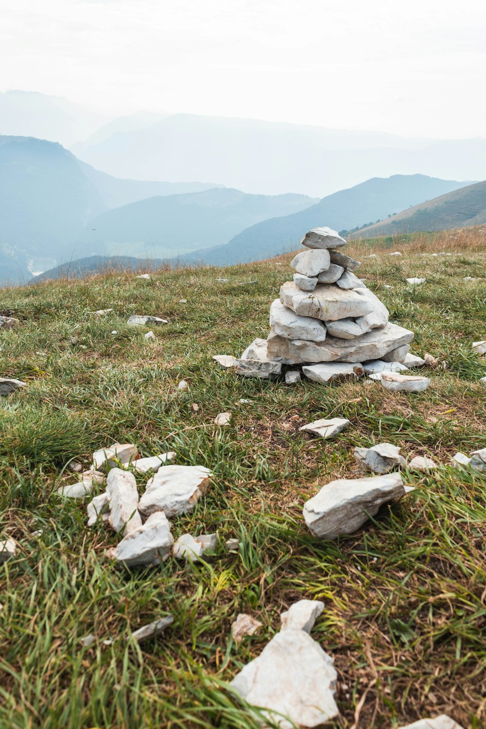 gray stone on green grass field during daytime