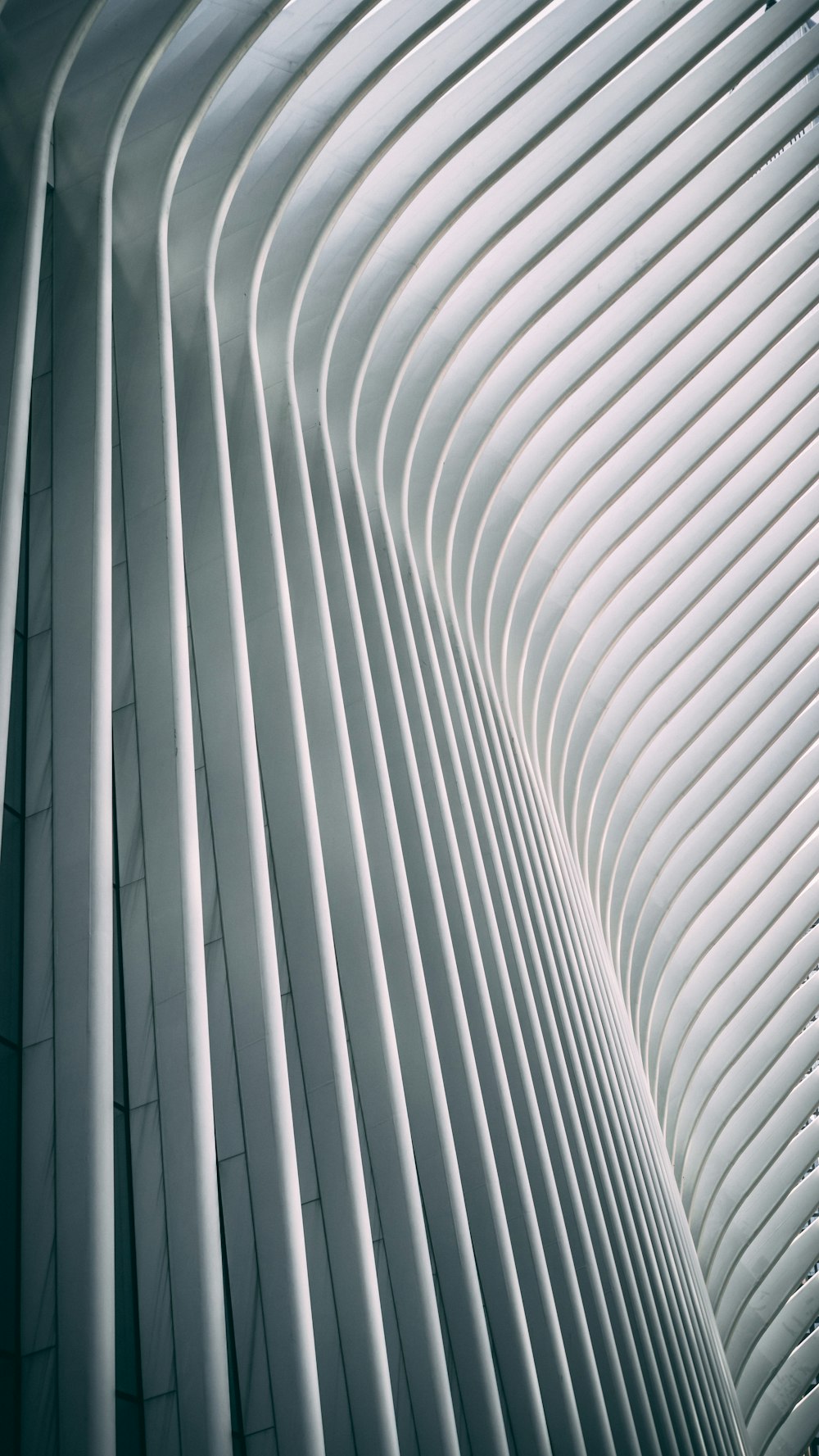 white and gray striped textile