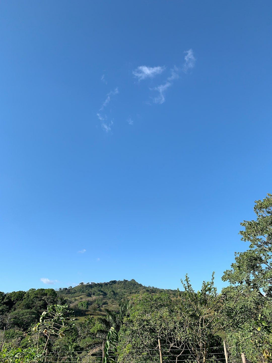 Nature reserve photo spot PanamÃ¡ Panama