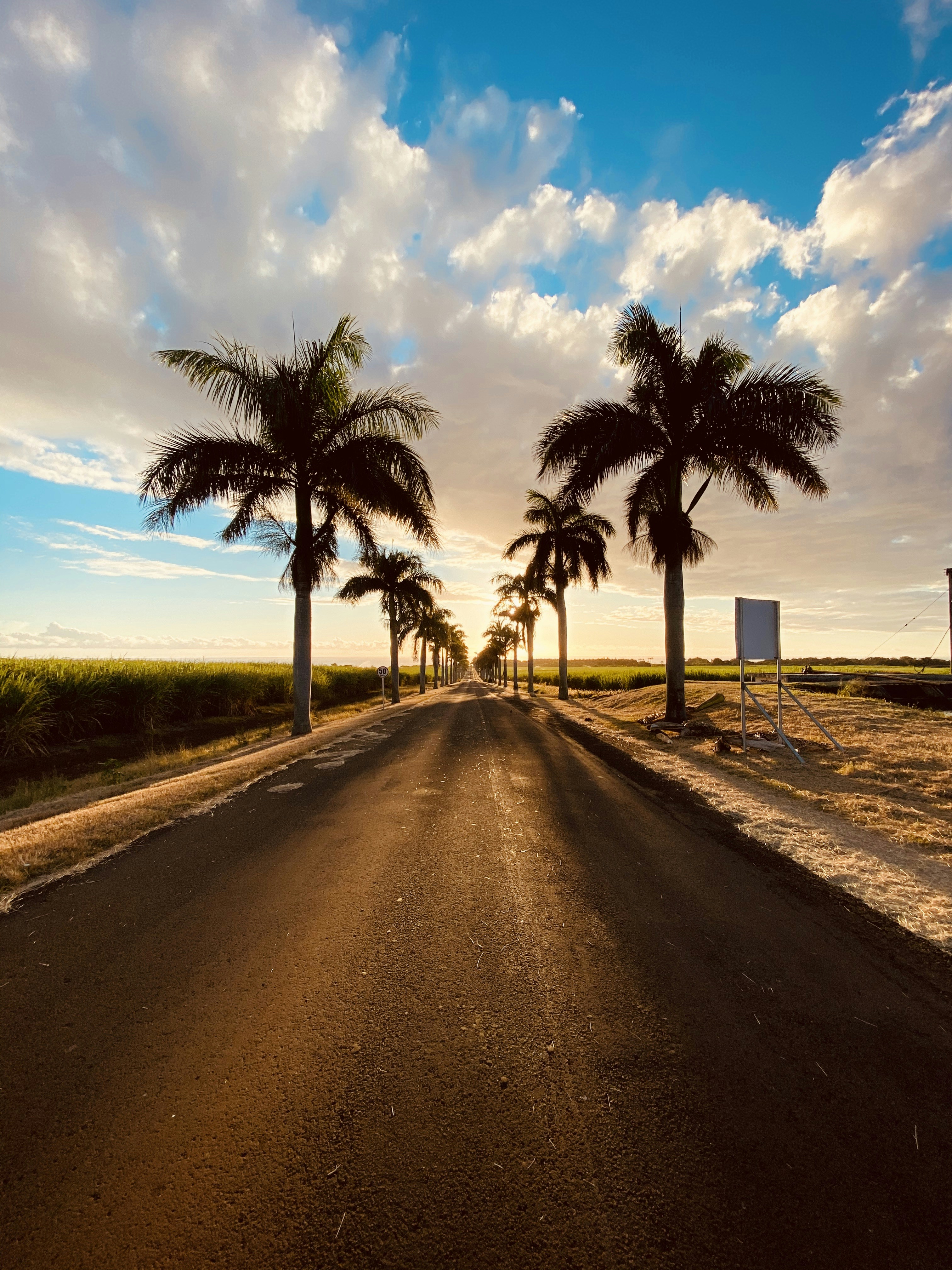  Mauritius roads