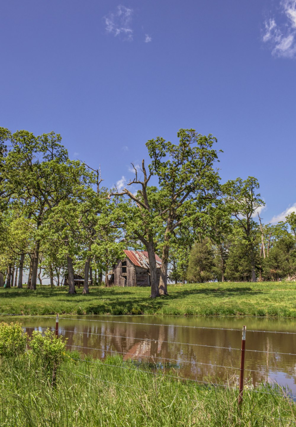 brown wooden house near green trees and river during daytime