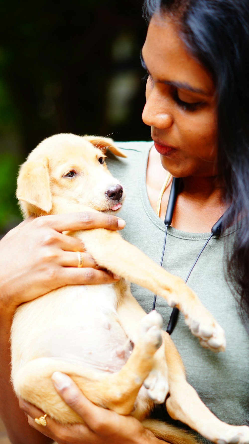 girl in gray shirt holding white short coated dog