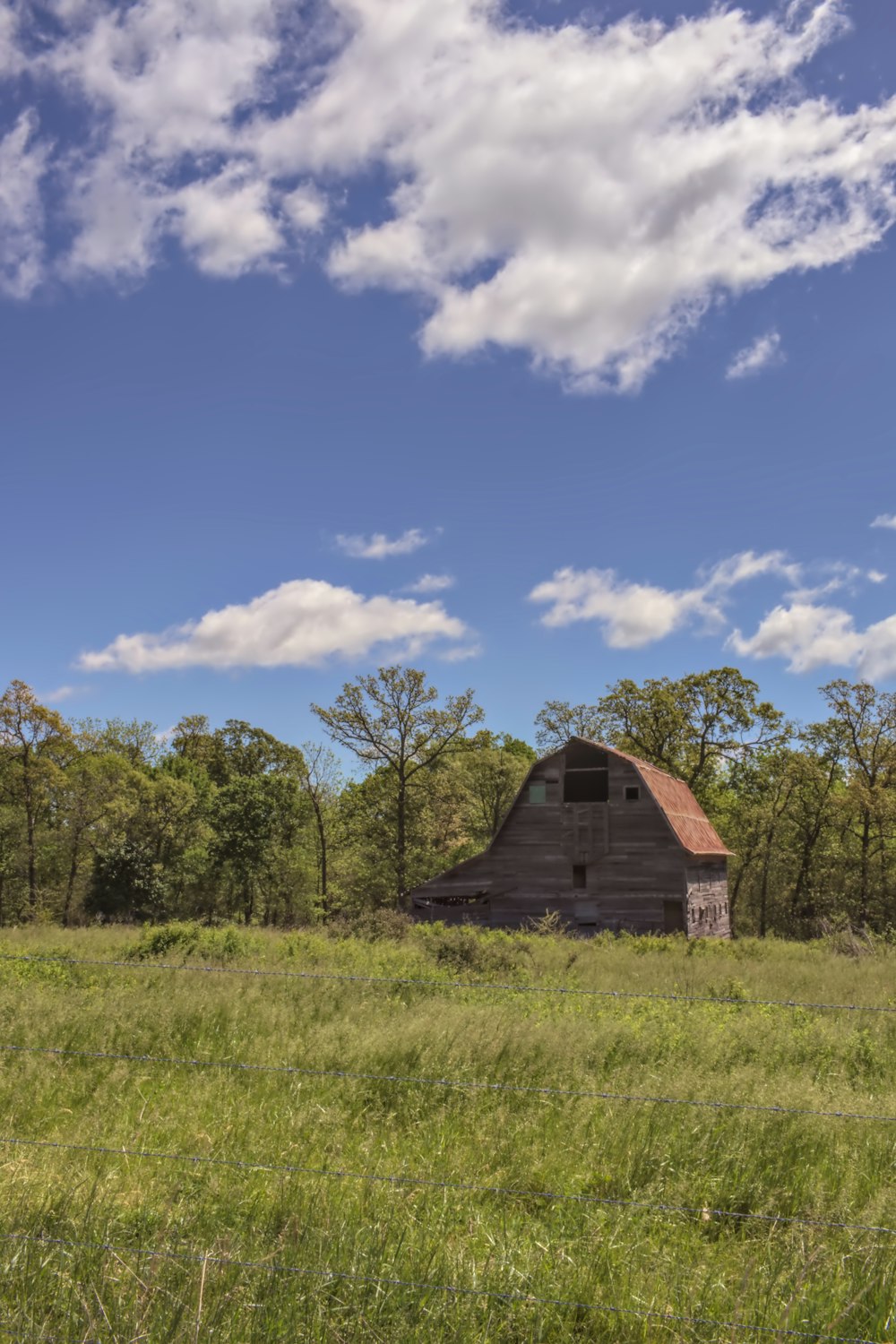 Braunes Holzhaus in der Nähe von grünen Bäumen unter blauem Himmel tagsüber