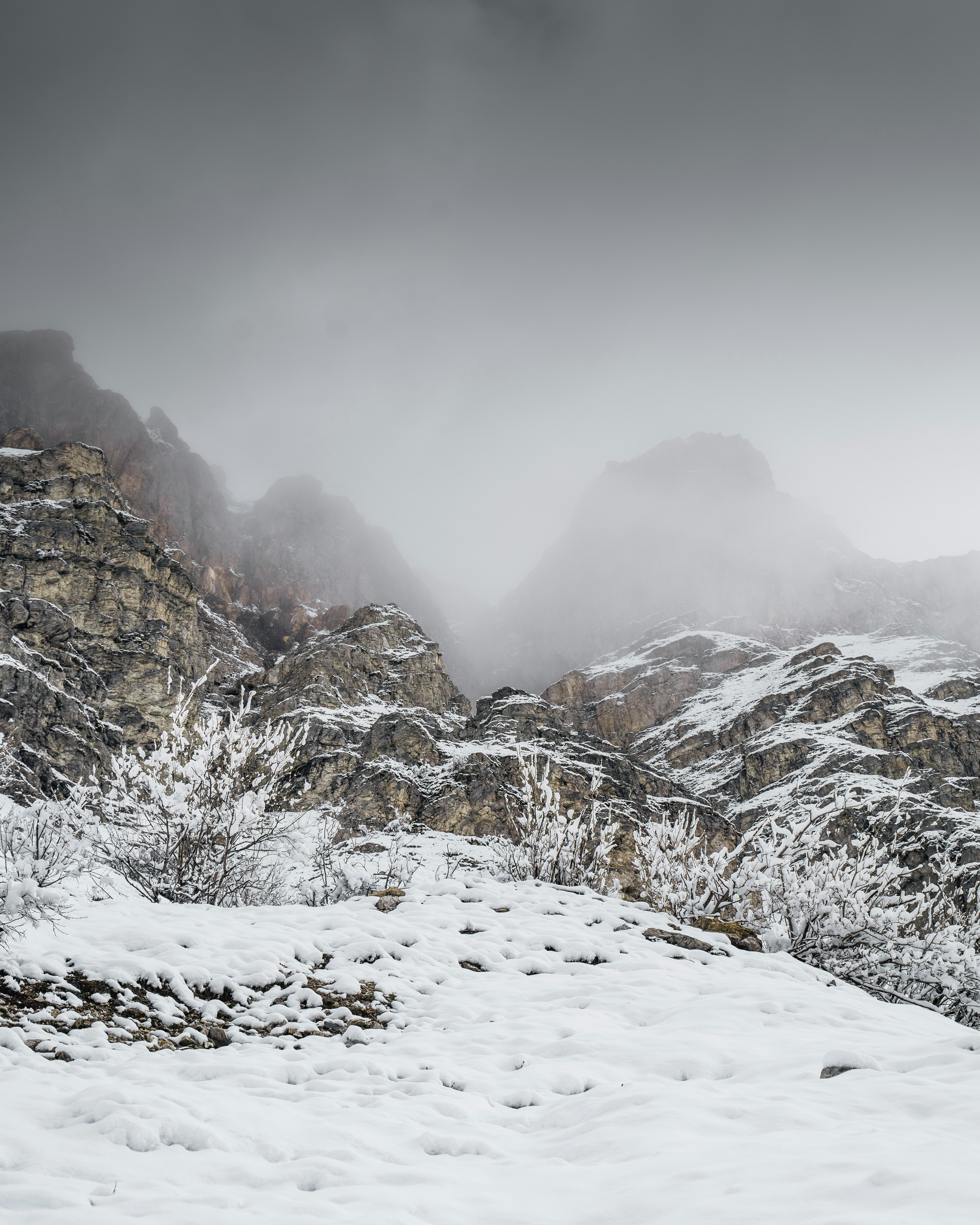 Photo by yannallegre