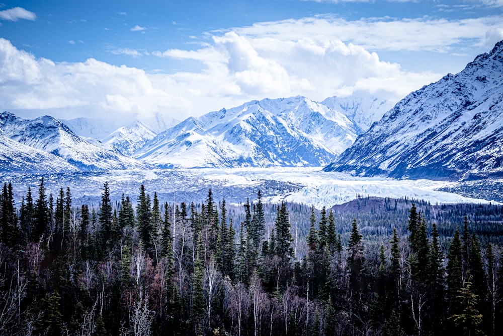 green pine trees near snow covered mountain under blue and white cloudy sky during daytime