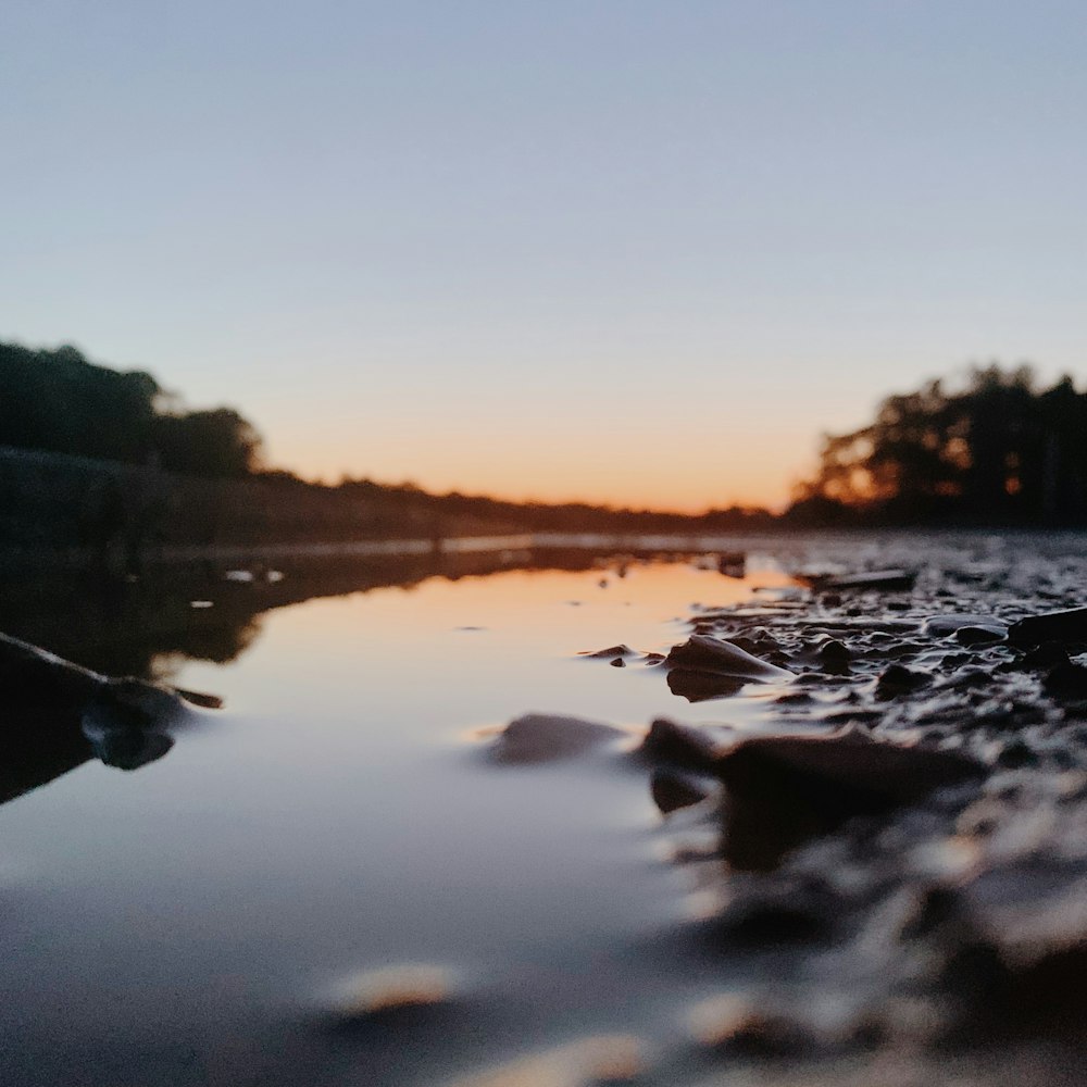 body of water near trees during sunset