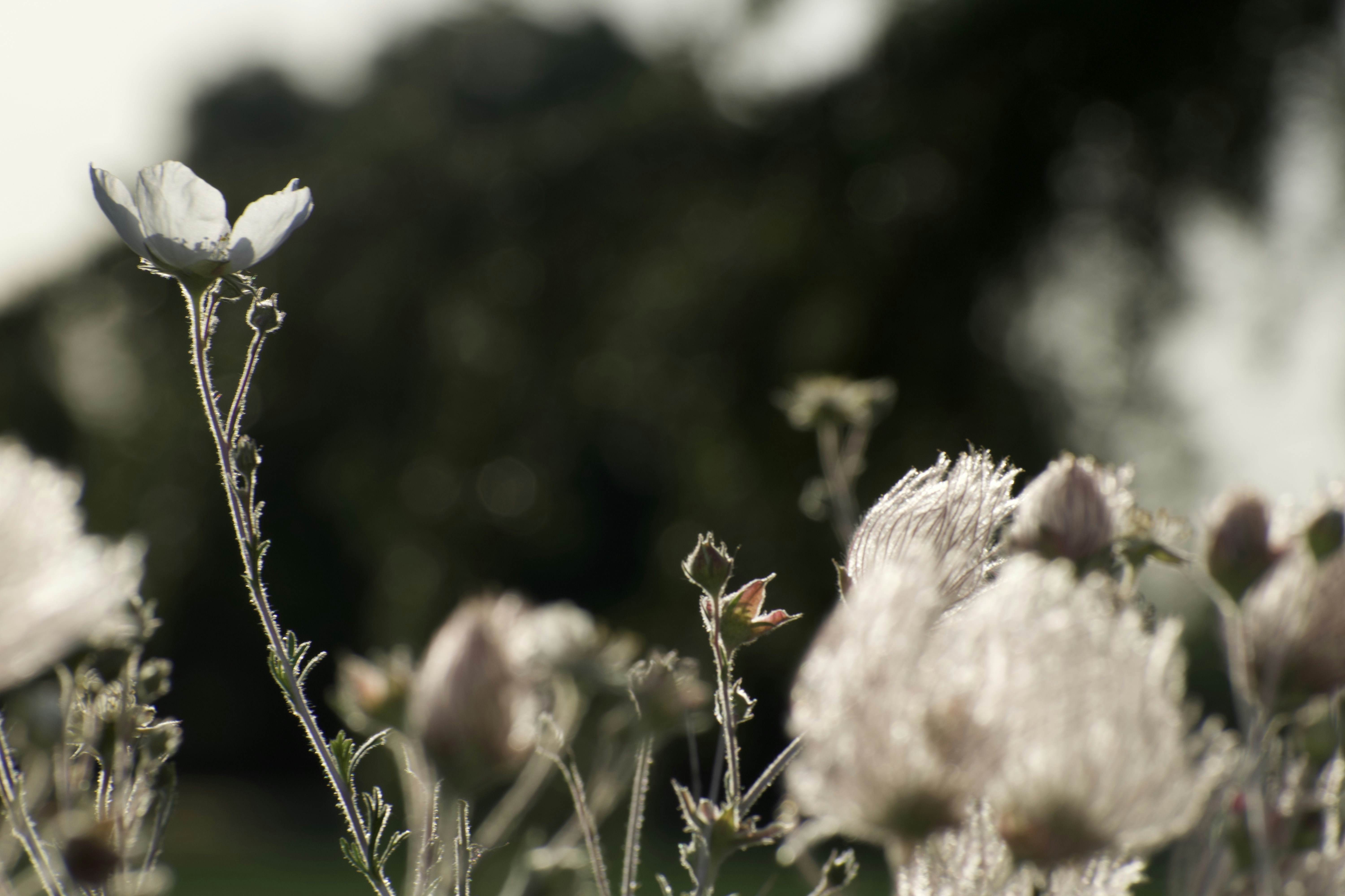 Photo by elisastonephotography