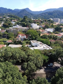 green trees and houses during daytime