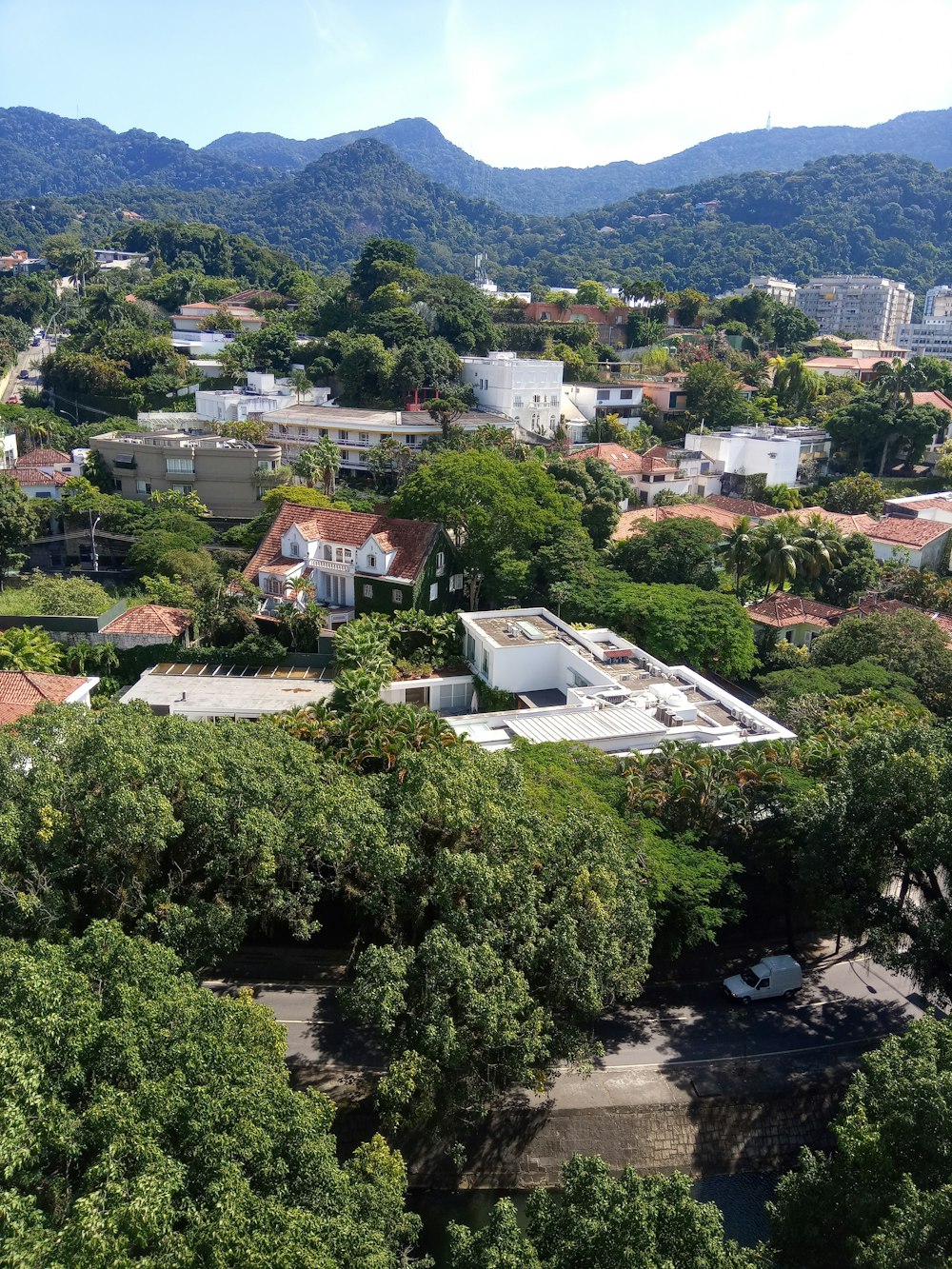 green trees and houses during daytime