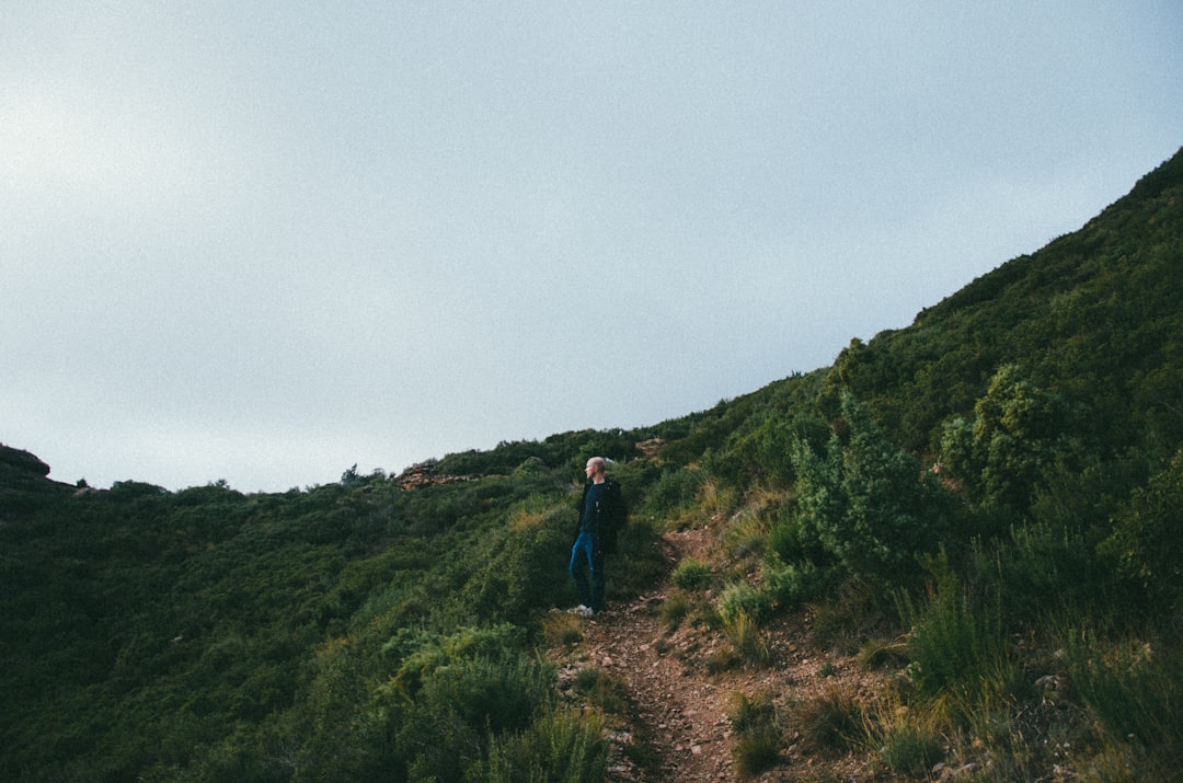 Man standing on a lush mountainside