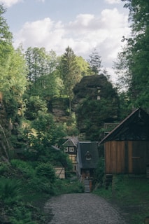 A quaint village scene nestled in a lush forest setting, featuring charming, rustic houses with steep, gabled roofs. The surroundings are dominated by tall trees and rocky formations. A cobblestone path leads through the greenery, creating a serene and peaceful environment.